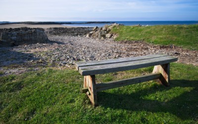 Bench at Mossyard beach